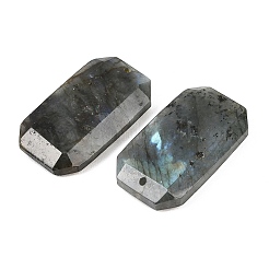 Natur Labradorit Anhänger&nbsp;G-H325-03I