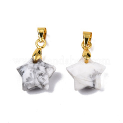 Natürliche howlite Anhänger / charms&nbsp;X-G-N326-142-10