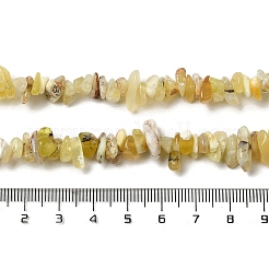 Natürliche gelbe Opal-Chip-Perlenstränge&nbsp;G-G905-15