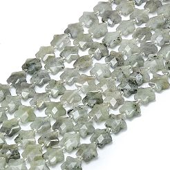 Natur Labradorit Perlen Stränge&nbsp;G-P573-C07-01