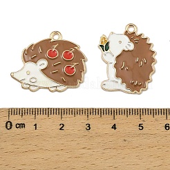 Pendentifs d'émail en alliage&nbsp;FIND-I064-07G