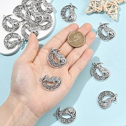 Colgantes de aleación de estilo tibetano 15pcs&nbsp;FIND-YW0011-12