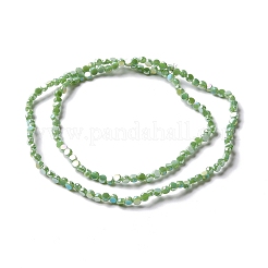 Chapelets de perles en verre électroplaqué&nbsp;GLAA-E036-03D