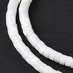 Natürlichen Süßwasser-Muschelperlen Stränge&nbsp;SSHEL-C013-04B