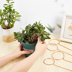 12 pièces 3 styles de support de croissance des plantes en cuivre&nbsp;DIY-NB00004