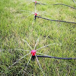 DIY-Bausätze für Pflanzenbewässerungssysteme&nbsp;AJEW-GA0002-13