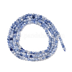 Perles de jaspe tache bleue naturelle&nbsp;G-A252-A02-01