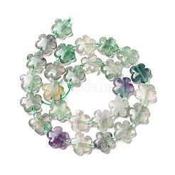 Perline fluorite naturale fili&nbsp;G-D475-02J