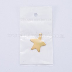 Anhänger aus Edelstahl 304&nbsp;STAS-I140-13G