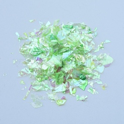 Plastik Bonbon Pailletten / Paillette Chip&nbsp;DIY-I019-02J
