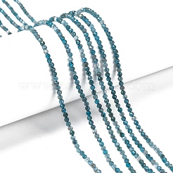 Natürliche Apatit Perlen Stränge&nbsp;G-K185-02