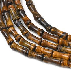 Chapelets de perles d'œil de tigre naturel&nbsp;GG-CBAEB22-A06-01