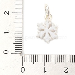 Weihnachtsmotive Legierung Emaille Charms&nbsp;FIND-I063-01K
