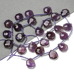 Natürlichen Amethyst Perlen Stränge&nbsp;G-P544-C01-01