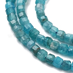 Fili di perline di apatite blu naturale&nbsp;G-H042-B12-01B