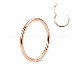 Orecchini per cartilagine in acciaio chirurgico inossidabile 316l&nbsp;WGCE3BC-22