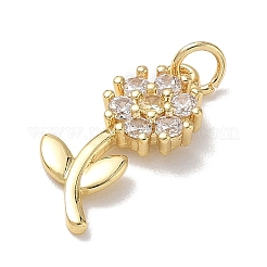 Ottone micro spianare pendenti zirconi&nbsp;KK-L268-029G-01