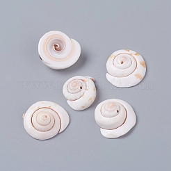 Perle naturali di conchiglie di shiva&nbsp;BSHE-D019-03