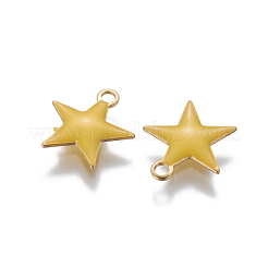 Messing Emaille Anhänger / charms&nbsp;KK-F799-05A