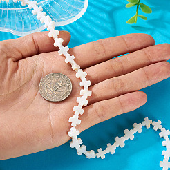 1 Strang natürliche Süßwasser-Muschelperlenstränge&nbsp;SSHEL-TA0001-19