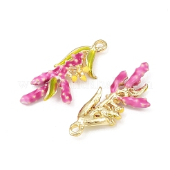 Pendentifs d'émail en alliage&nbsp;FIND-G102-05G