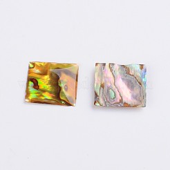 Quadratische Abalone-Muschel / Paua-Muschel-Cabochons&nbsp;X-SSHEL-K003-15X15MM