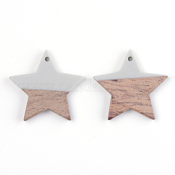 Harz & Holz Anhänger&nbsp;X-RESI-T023-23A