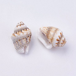 Perle di guscio&nbsp;BSHE-P026-35