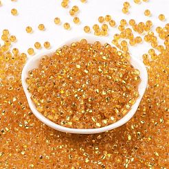6/0 Glasperlen&nbsp;SEED-T006-04C-04