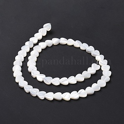 Natürliche Trochusmuschelperlenstränge&nbsp;SSHEL-H070-06B