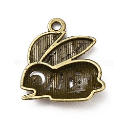 Colgantes de la aleación de estilo tibetano&nbsp;PALLOY-M198-04AB
