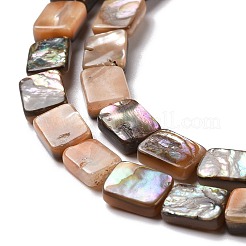 Natürliche rote Paua-Muschelperlenstränge&nbsp;SSHEL-G023-11A