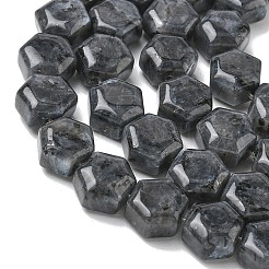 Natürliche Larvikit-Perlenstränge&nbsp;G-G463-A05-10x11mm