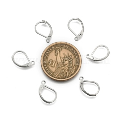 Anlaufgeschützter Edelstahl Farbton 304 Edelstahl Leverback Ohrring Zubehör&nbsp;X-STAS-E007-3
