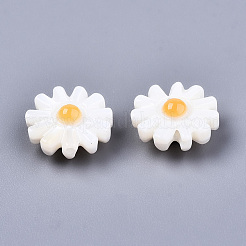 Perles de coquillages naturels d'eau douce&nbsp;SHEL-S266-14A-01