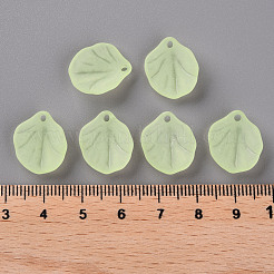 Colgantes transparentes de acrílico esmerilado&nbsp;MACR-S371-02A-728