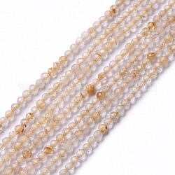 Chapelets de perles en quartz de rutile naturel, facette, ronde, 2mm, Trou: 0.5mm, Environ 203~205 pcs/chapelet, 15.55~15.75 pouce (39.5~40 cm)