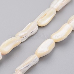 Natural Shell Bead Strands, Nugget Stick, Old Lace, 16~19x8~10x4~7mm, Hole: 1mm, about 24pcs/strand, 15.2 inch