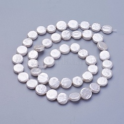 Shell Perlen Stränge, Flachrund, Schnee, 7.5~8.2x2.2~3.5 mm, Bohrung: 0.5 mm, ca. 42~48 Stk. / Strang, 15.35 Zoll ~ 15.55 Zoll (39~39.5 cm)