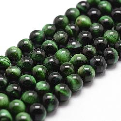 Natural Tiger Eye Bead Strands, Dyed & Heated, Round, Green, 10mm, Hole: 1mm, about 37pcs/strand, 14.9 inch~15.1 inch