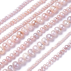 Fili di perle di perle d'acqua dolce coltivate naturali, patata, cardo, 4~12x4~12mm, Foro: 0.5~1 mm, circa 28~100pcs/filo, 13.8 pollice ~ 15.7 pollici (35~40 cm)