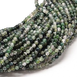 Agate mousse naturelle chapelets de perles rondes, 4mm, Trou: 1mm, Environ 89 pcs/chapelet, 15 pouce