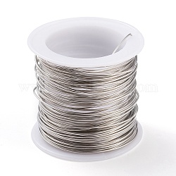 316 Surgical Stainless Steel Wire, for Jewelry Making, Stainless Steel Color, 20 Gauge, 0.8mm, about 26.24 Feet(8m)/roll