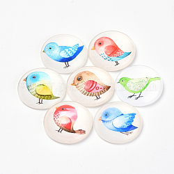 Printed Glass Flat Back Cabochons, Dome/Half Round, Bird Pattern, Mixed Color, 20x6mm