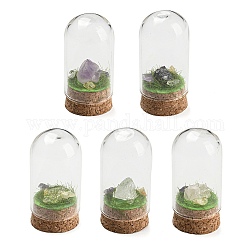 Natural Gemstone Nuggets Display Decoration with Glass Dome Cloche Cover, Cork Base Bell Jar Ornaments for Home Decoration, 30x59~60.5mm