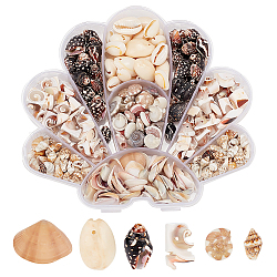 PH PandaHall 370pcs Natural Spiral Shell Beads, 5~16mm 6 Styles Small Seashells Ocean Spiral Seashells Drilled/Undrilled Miniature Shells for DIY Jewelry Craft Wedding Decor Fish Tank Vase Filler