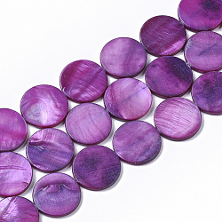 Shell perle d'acqua dolce fili, tinto, rotondo e piatto, viola scuro, 19.5~20.5x2.5~3.5mm, Foro: 1 mm, circa 20pcs/filo, 15.63 pollice~16.02 pollici