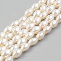 Electroplate Natural Freshwater Shell Beads Strands, Rice, Seashell Color, 5.5x3.5mm, Hole: 0.8mm, about 72~75pcs/strand, 15.16 inch~15.55 inch(38.5cm~39.5cm)