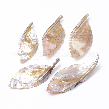 Perles de coquillages naturels d'eau douce SHEL-Q019-008-1