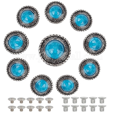 GORGECRAFT 10 Sets Turquoise Blue Buttons Round Conchos Unique Metal Eye Decorative Buckle Castings Screw Back Button with Imitation Synthetic Turquoise & Iron Screw for DIY Leather Goods Accessories DIY-GF0006-59-1